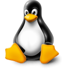 Linux logo in 3D style