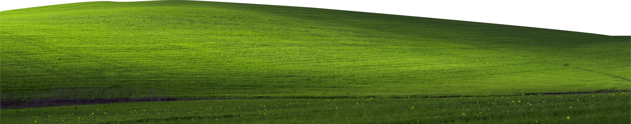 Green Field
