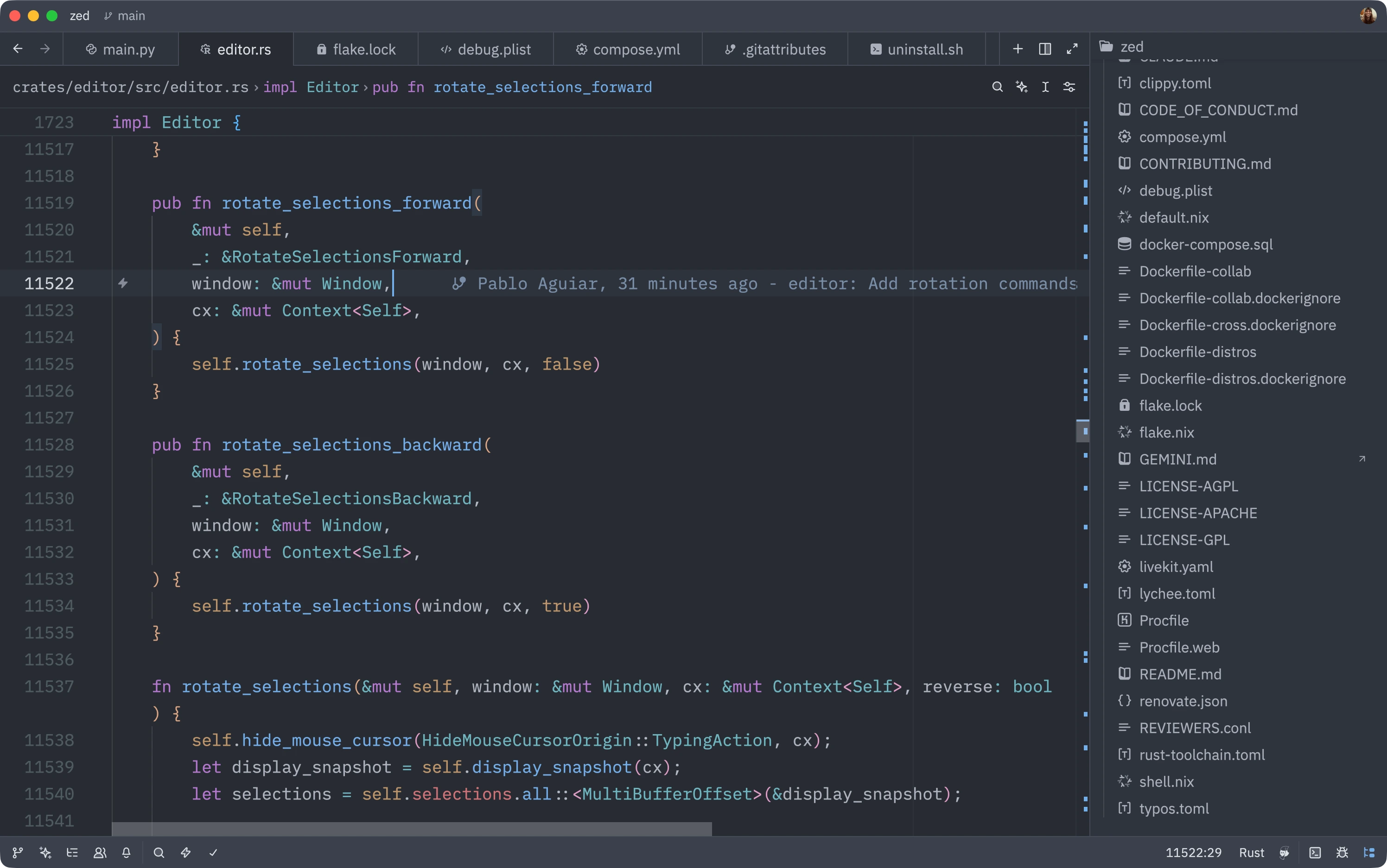 Zed's monochrome icons