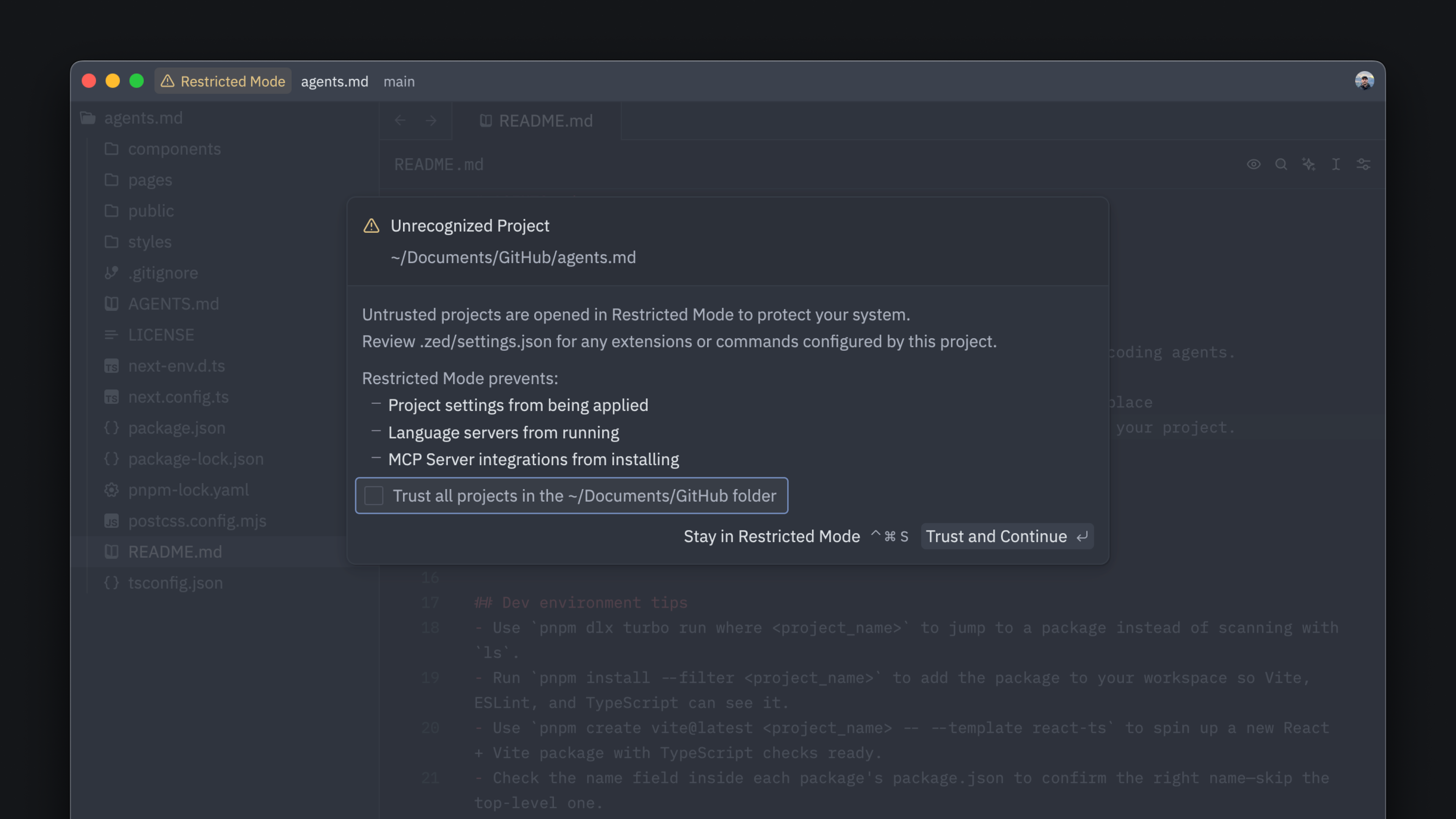 The Worktree Trust Modal.
